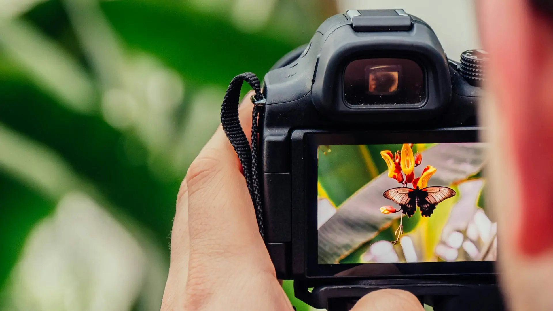 black digital camera capturing yellow flower